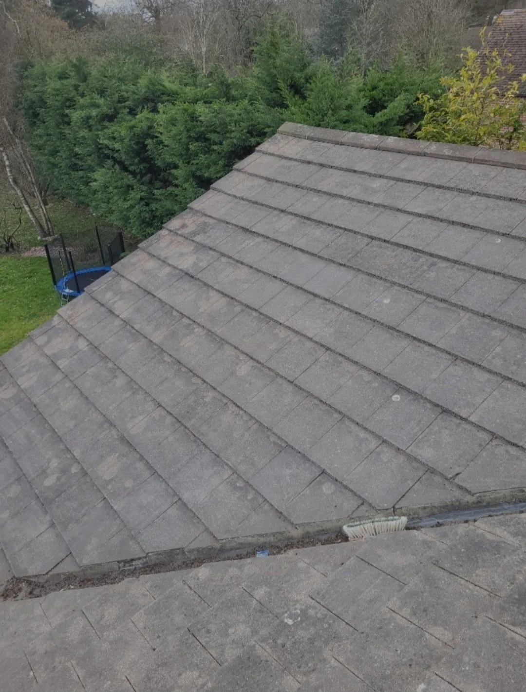 Moss covered roof before professional roof cleaning