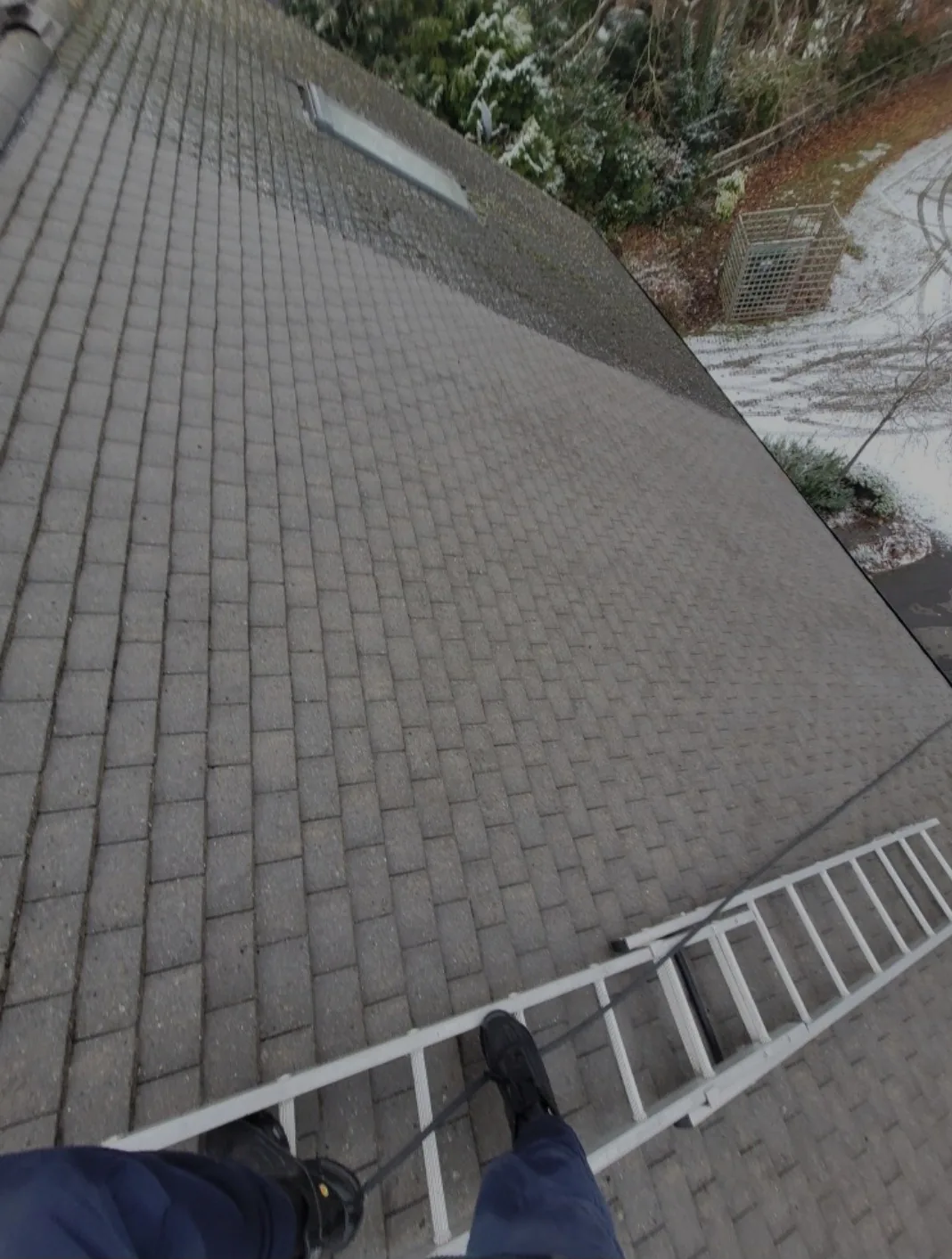 Free roof inspection being carried out on a Hampshire roof