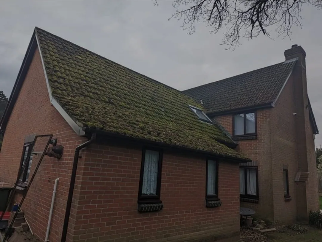 Heavily moss-covered tiled roof on a brick house before professional roof cleaning